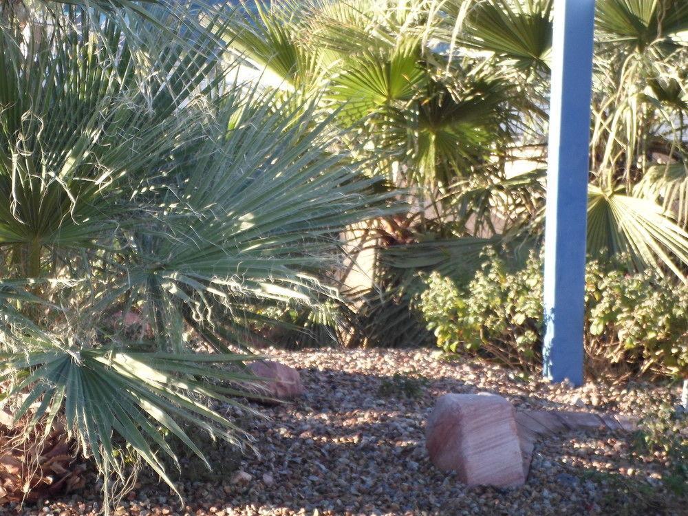 Howard Johnson By Wyndham Las Vegas Near The Strip Εξωτερικό φωτογραφία
